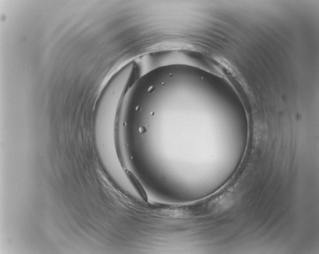 X0000055521465200508262153