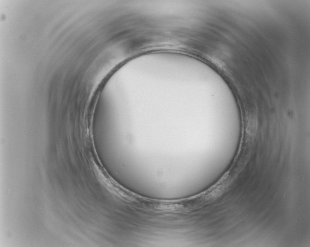 X0000055521466200508262153