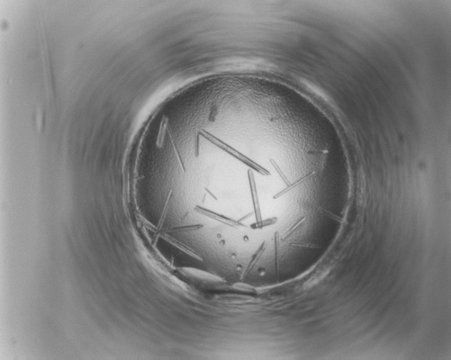 X0000055521467200508262153