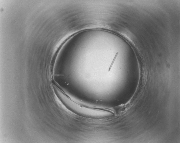 X0000055521468200508262153