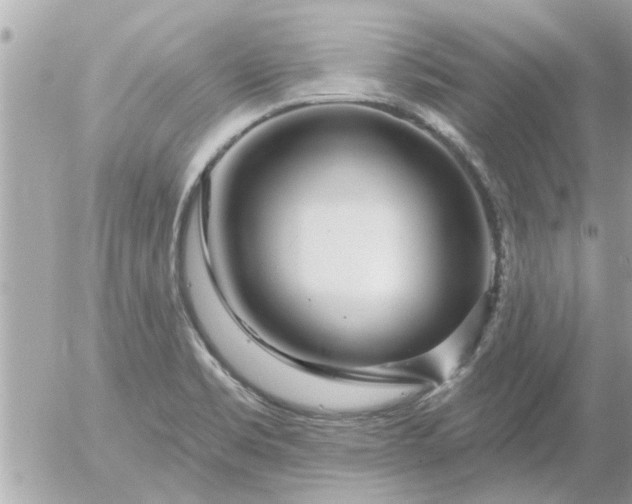 X0000055521469200508262153