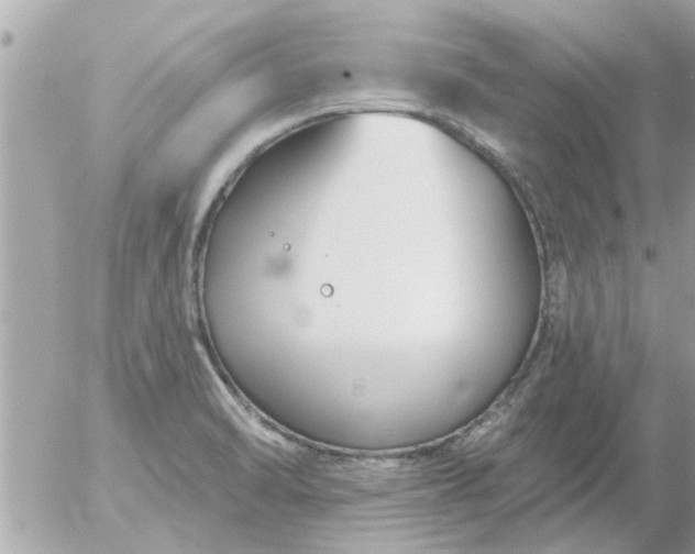 X0000055521470200508262153