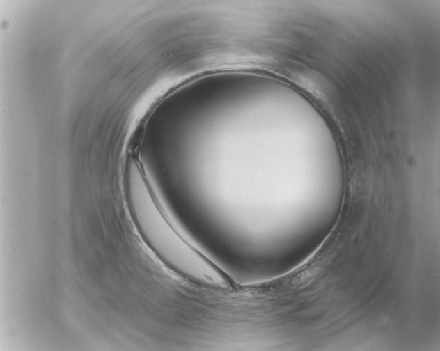 X0000055521472200508262153