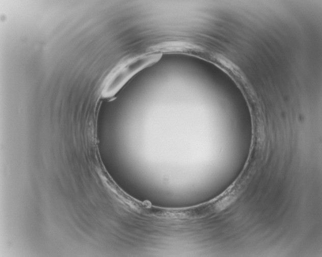 X0000055521473200508262153