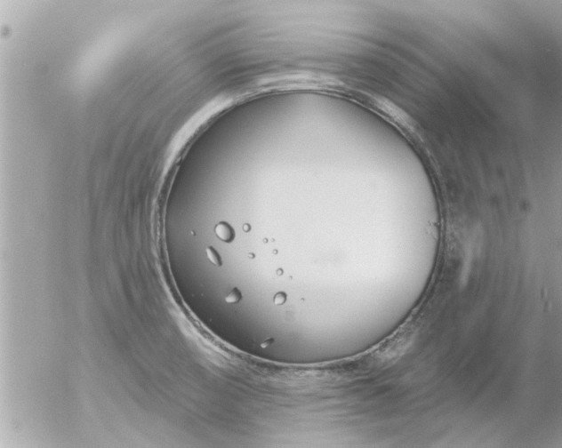 X0000055521474200508262153