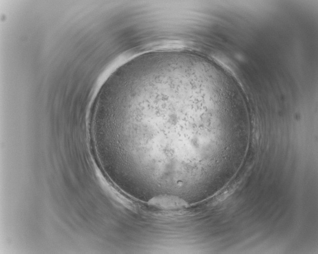 X0000055521475200508262153