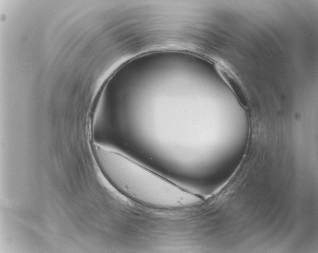 X0000055521476200508262153