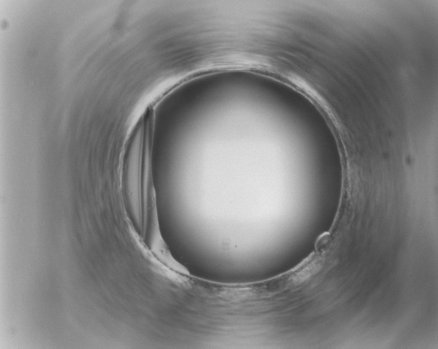 X0000055521477200508262153