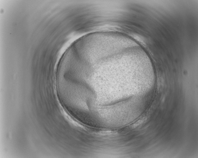 X0000055521478200508262153