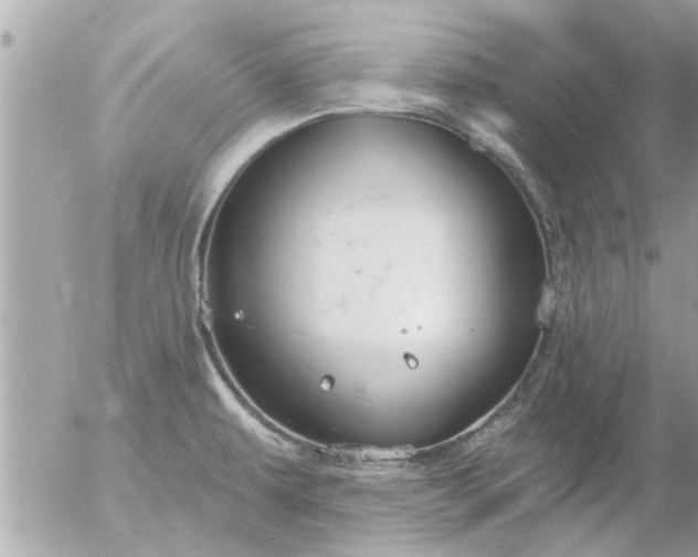 X0000055521479200508262153