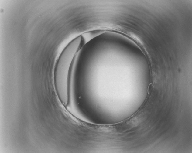 X0000055521480200508262153