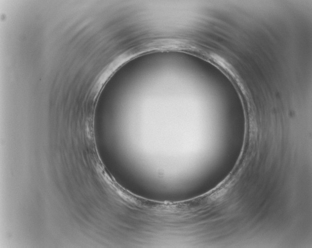 X0000055521481200508262153