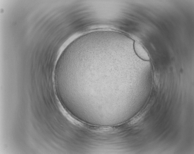 X0000055521482200508262153