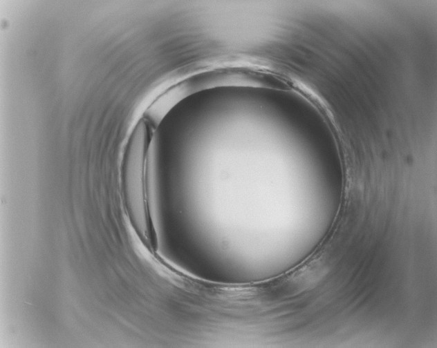 X0000055521483200508262153