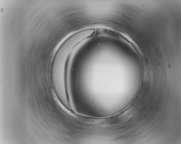 X0000055521484200508262153