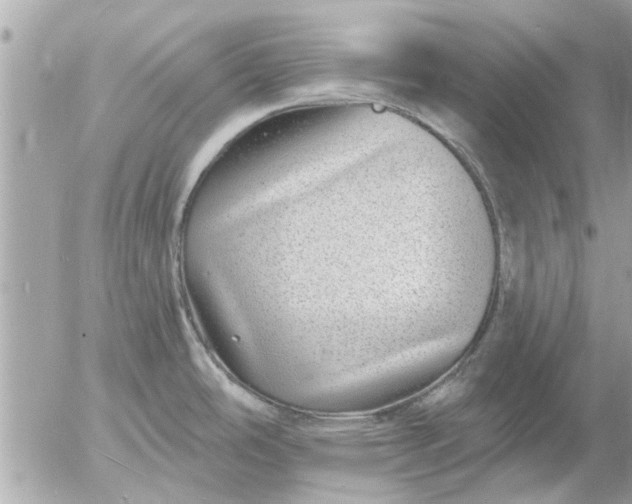 X0000055521486200508262153