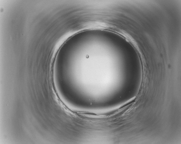 X0000055521488200508262153