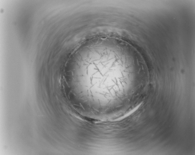 X0000055521489200508262152