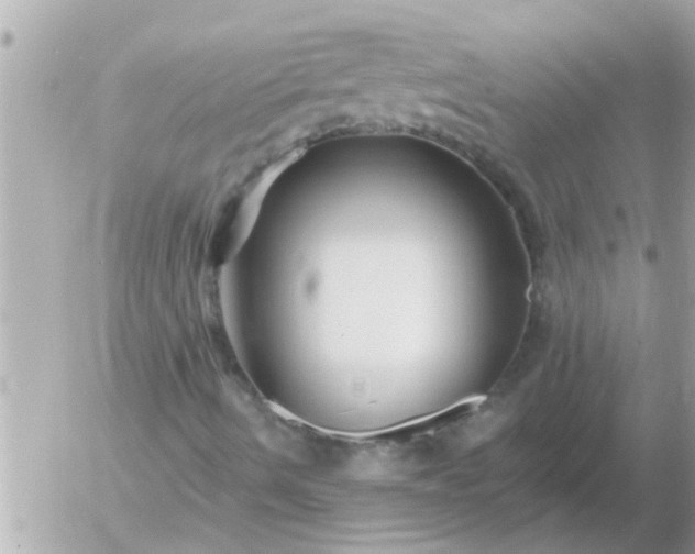 X0000055521490200508262152