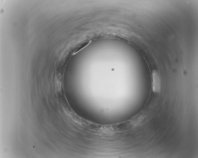 X0000055521491200508262152