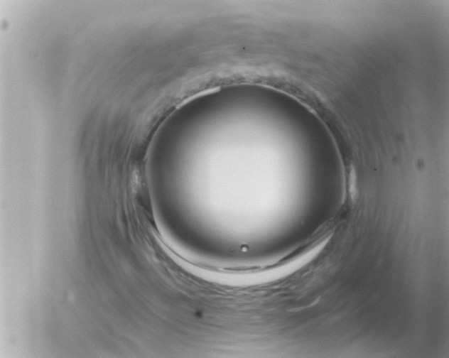 X0000055521492200508262152