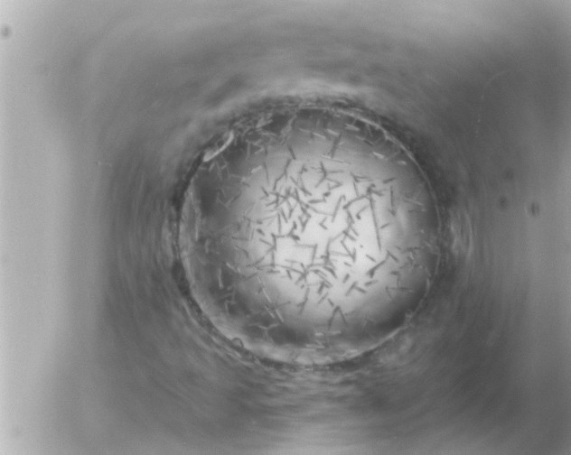 X0000055521493200508262152