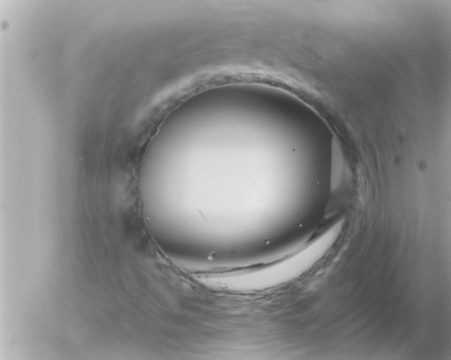 X0000055521494200508262152