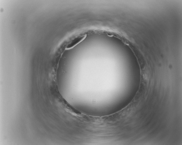 X0000055521495200508262152