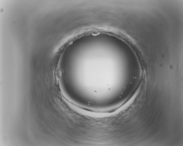 X0000055521496200508262152