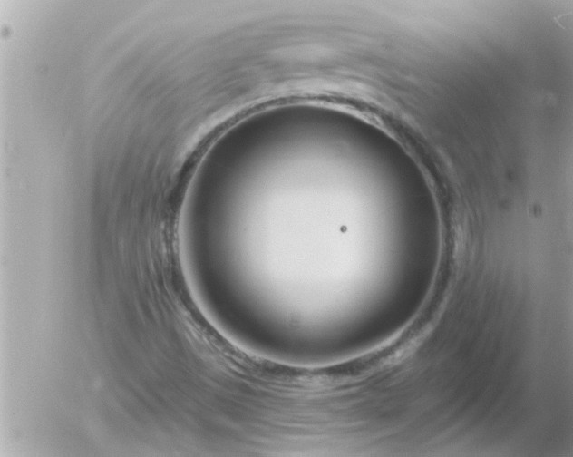 X0000055521497200508262152