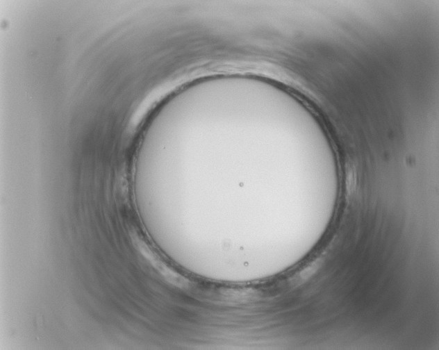 X0000055521498200508262152