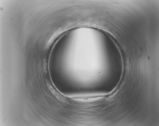 X0000055521499200508262152