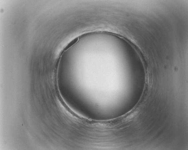 X0000055521500200508262152