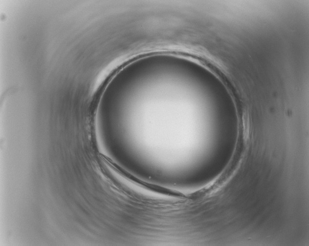 X0000055521501200508262152