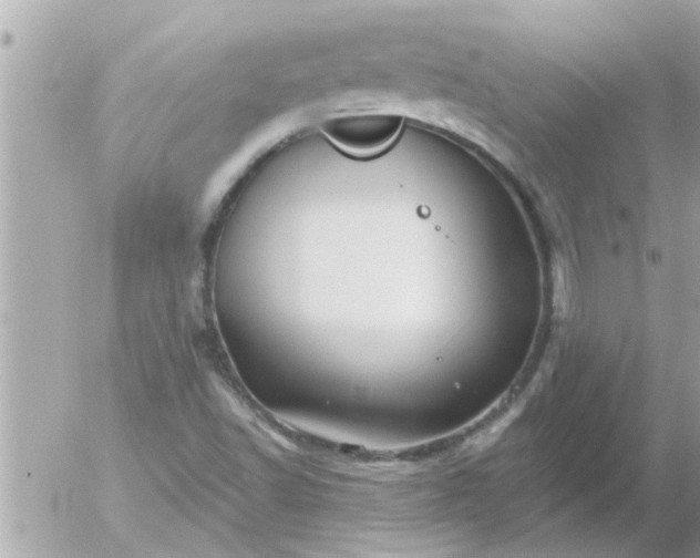 X0000055521502200508262152