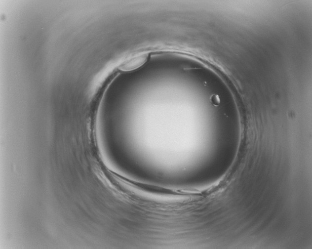 X0000055521503200508262152