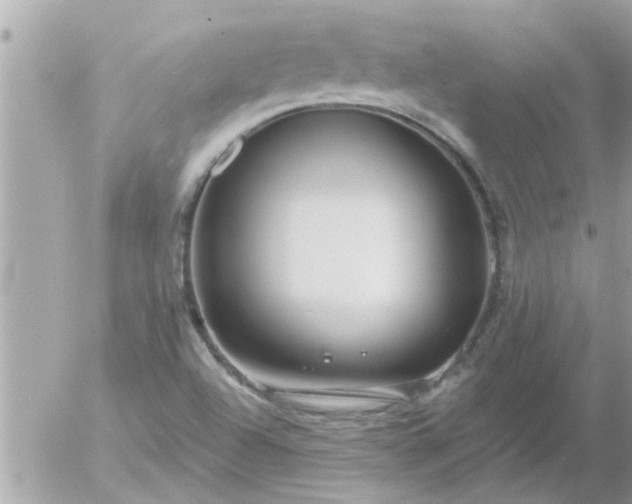 X0000055521504200508262152