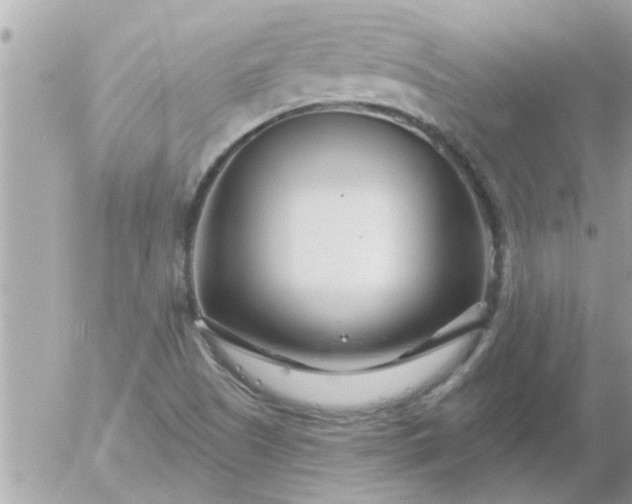 X0000055521505200508262152