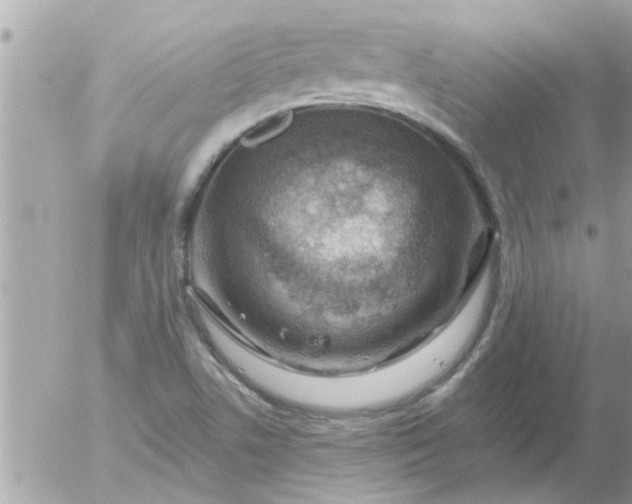 X0000055521506200508262152