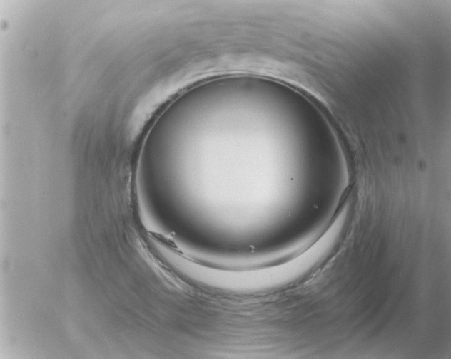 X0000055521507200508262152