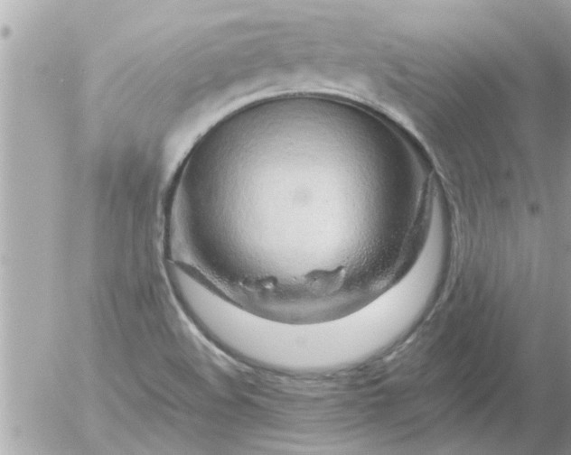 X0000055521508200508262152