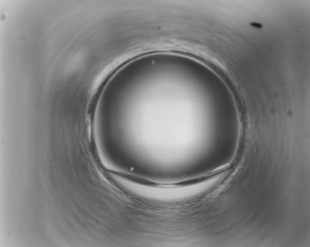 X0000055521509200508262152