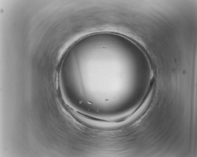 X0000055521510200508262152