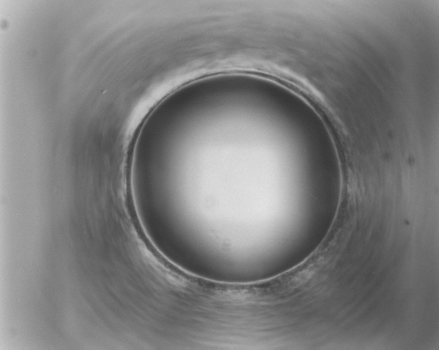 X0000055521512200508262152