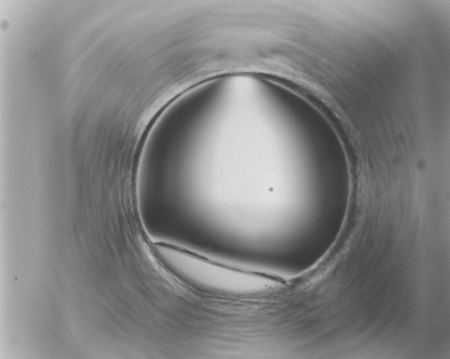 X0000055521513200508262152