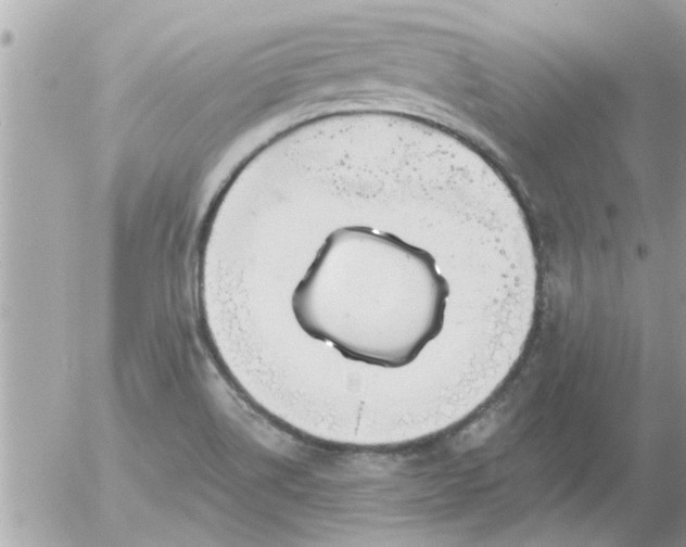 X0000055521514200508262152