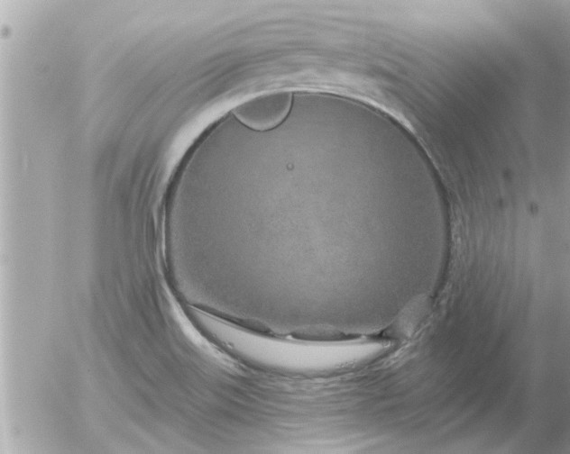 X0000055521515200508262152