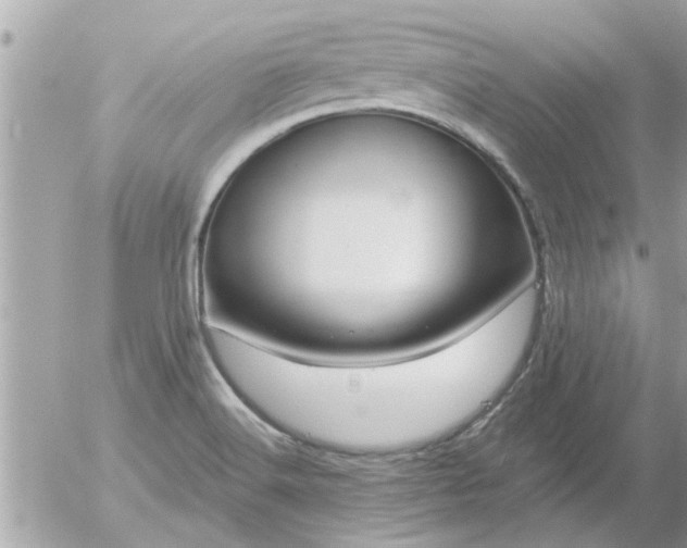 X0000055521516200508262152