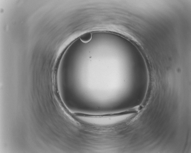 X0000055521517200508262152