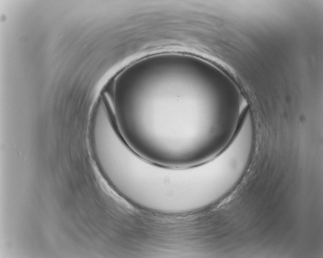 X0000055521518200508262152